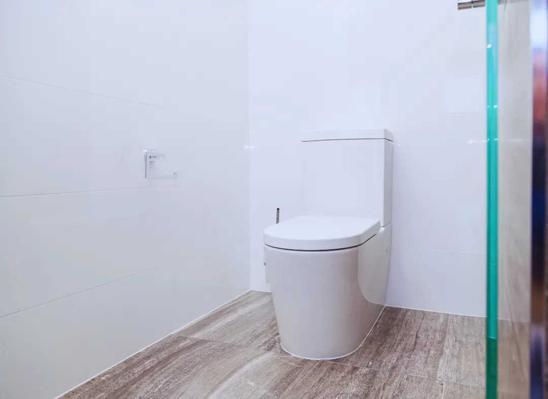 Remplacement de wc Fillière